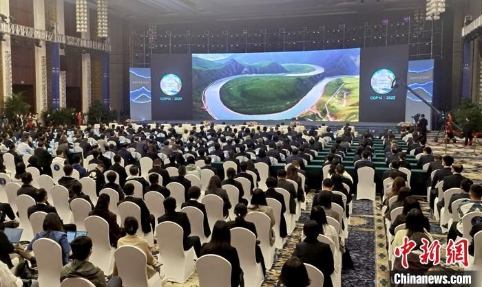 资料图：11月5日，《湿地公约》第十四届缔约方大会在武汉东湖国际会议中心开幕。 <a target='_blank' href='/'>中新社</a>记者 邹浩 摄
