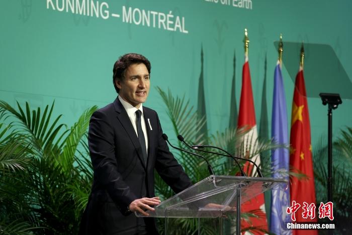 当地时间12月6日，加拿大总理贾斯廷·特鲁多在加拿大蒙特利尔出席COP15第二阶段会议开幕前夕的欢迎仪式并致辞。COP15第二阶段会议定于12月7日至19日在《生物多样性公约》秘书处所在地蒙特利尔举行，目标是达成“2020年后全球生物多样性框架”。 <a target='_blank' href='/'>中新社</a>记者 余瑞冬 摄