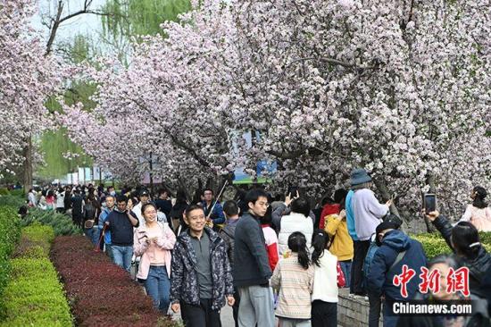 China sees nearly 24 mln domestic tourist trips on Qingming Festival