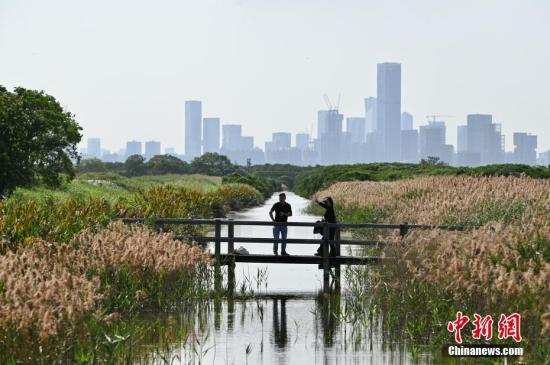 China's Ministry of State Security warns of environmental risk posed by invasive species