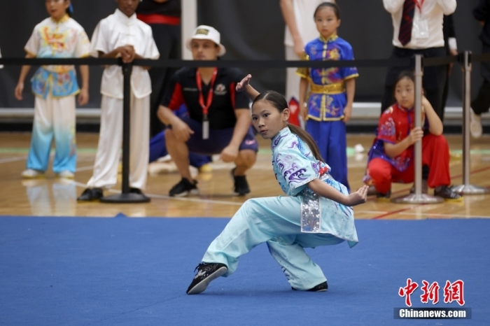 第四届泛美传统武术锦标赛在加拿大万锦市开幕