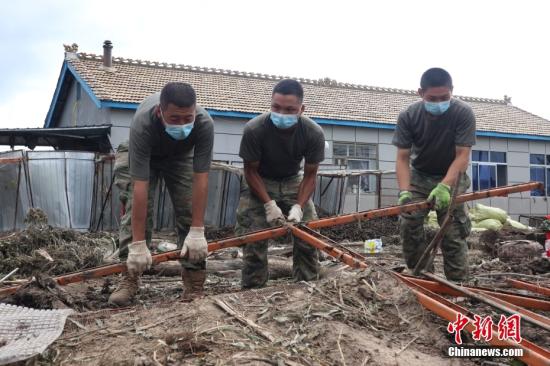 Northeast China carries out disaster relief efforts to ensure grain security