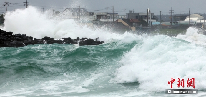 当地时间8月9日下午，韩国济州岛，台风“卡努”正在逼近，西归浦市城山邑海岸掀起巨浪。图/视觉中国