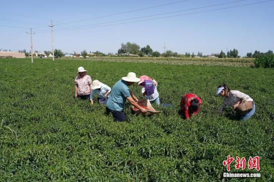 China introduces new guidelines on agricultural sci-tech system