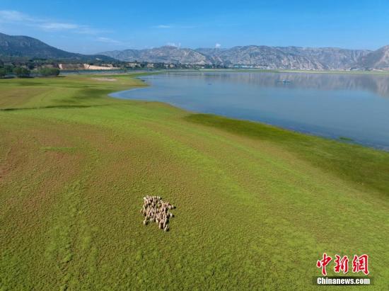 Qinghai-Tibet Plateau becoming warmer, wetter, greener