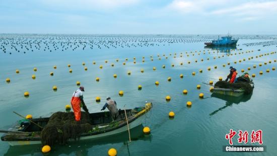China's gross marine product exceeds 9 trillion yuan in 2023