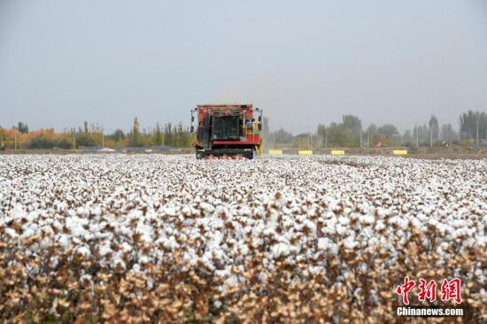 Brands urged to resume use of Xinjiang cotton