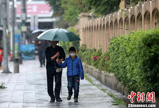 资料图：台北雨中的行人。中新社发 陈小愿 摄
