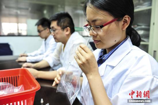 资料图：广州市环境监测中心站嗅辨师对采集的样本进行嗅辨工作。 中新社发 陈骥� 摄