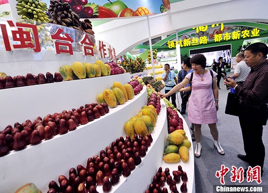 本届“农交会”闽台水果展示区展示琳琅满目的水果吸睛。 刘可耕 摄