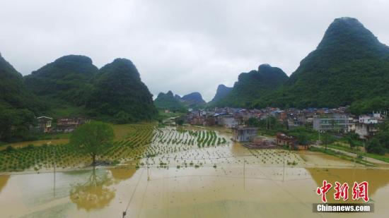 资料图：广西融安县泗顶镇儒南村拍摄被洪水淹没的农田。谭凯兴 摄