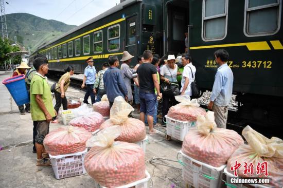 8月17日，菜农在羊臼河站准备上车，他们认为火车是最经济便捷的出行方式。