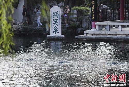 9月6日，游客观赏趵突泉“三股水”。 中新社记者 张勇 摄