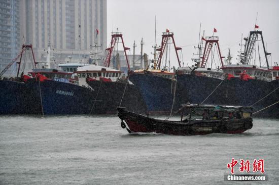 资料图：台风来袭，渔船回港避风。 中新社记者 骆云飞 摄