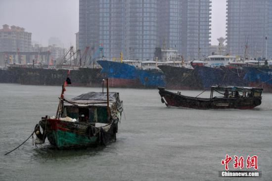 资料图：台风来袭，渔船回港避风。 中新社记者 骆云飞 摄