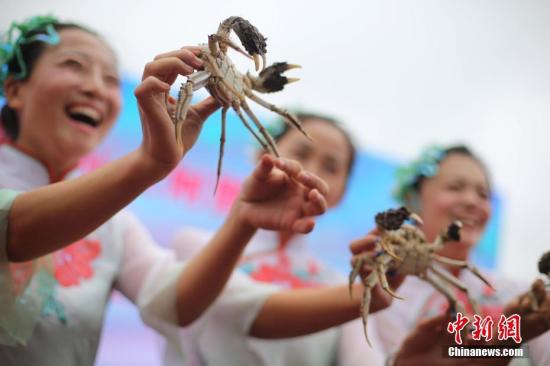 10月2日，“渔姑娘”展示新鲜捕捞的洪泽湖大闸蟹。中新社记者 泱波 摄