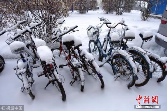 11月14日，内蒙古呼伦贝尔市牙克石康乐小区，一排自行车上落满积雪。余昌军 摄 图片来源：视觉中国