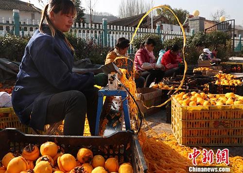 资料图：柿子深加工助力陕西陇县范家营村脱贫 。 中新社记者 宋吉河 摄