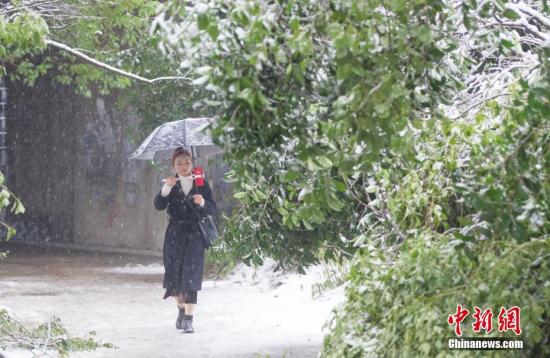 1月4日，安徽合肥迎来漫天大雪。中新社记者 张娅子 摄