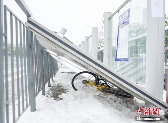 1月4日，安徽合肥望江路卫岗公交站台被雪压倒。 中新社记者 张娅子 摄