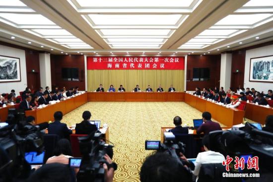 3月6日，十三届全国人大一次会议海南省代表团在北京举行全体会议，审议政府工作报告。 中新社记者 富田 摄