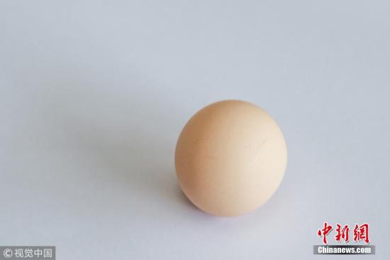 台湾春节后开盘鸡蛋批发价格再涨回年前高点。(资料图：罕见圆形鸡蛋) 陈中秋 摄 图片来源：视觉中国