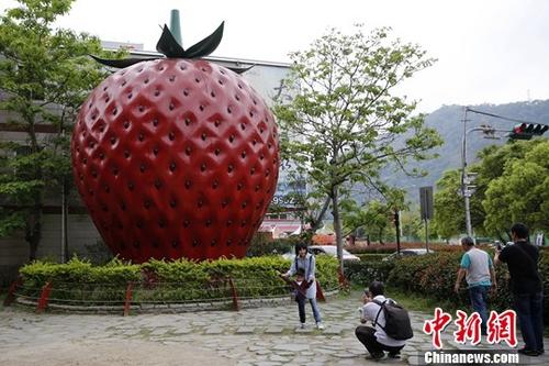 近日，游客在台湾苗栗县大湖乡与“草莓”雕塑合影。大湖乡被誉为台湾“草莓之乡”，草莓种植面积逾500公顷，产量约占宝岛的80%。中新社记者 陈小愿 摄