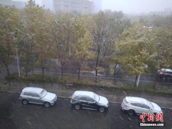 新疆伊犁州、博州出现降雪天气，当地气温骤降。朱景朝 摄