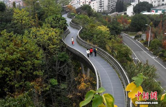 资料图：福州城市森林步道――“福道”。中新社记者 张斌 摄