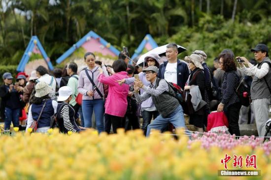 资料图：2月21日，2019士林官邸郁金香展在台北开幕，共展出10余个品种、7万株郁金香，吸引游客拍照。中新社记者 陈小愿 摄