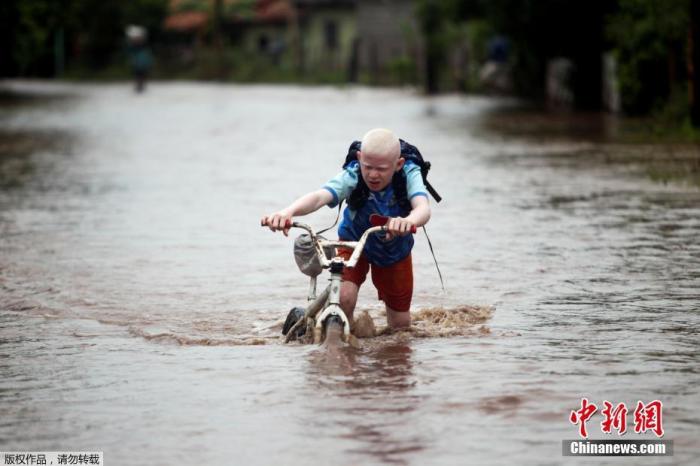 资料图：当地时间2020年11月18日，洪都拉斯马可维亚，飓风“约塔”过境后，一名儿童推着自行车经过洪水泛滥的道路。