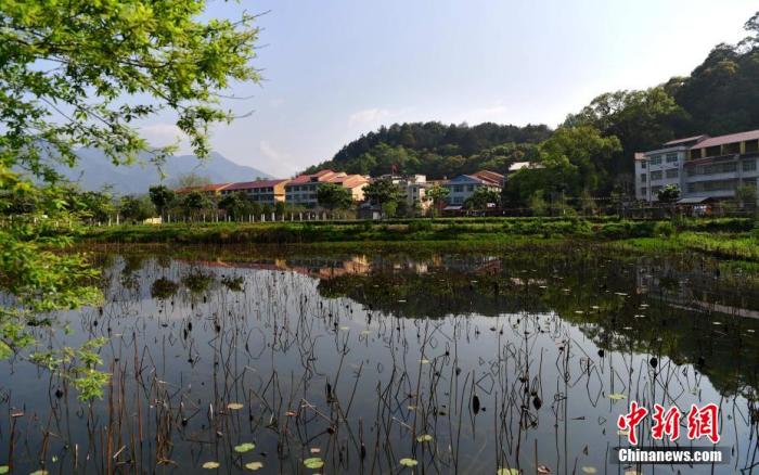 沙县俞邦村楼房成排，溪水绕村，景色美如画。 张斌 摄