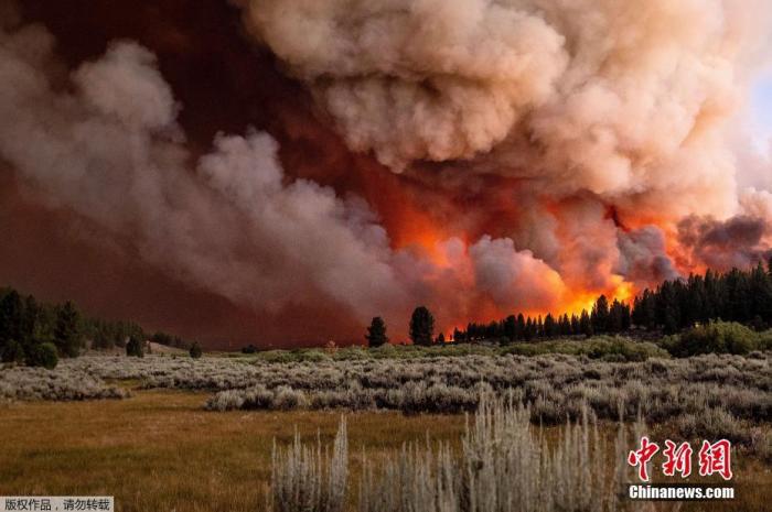 当地时间7月8日，美国加州，贝克沃斯综合火灾一部分的“糖火”在普卢马斯国家森林蔓延。图为山火烟雾漫天。