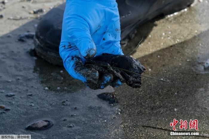 资料图：美国加利福利亚州南部海岸发生石油泄漏后，工作人员在清理海滩上的油污。
