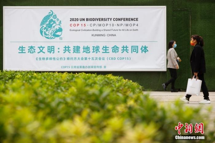 10月11日，市民从云南省昆明市街头的COP15海报前走过。当日，《生物多样性公约》缔约方大会第十五次会议(COP15)在云南省昆明市开幕。 中新社记者 李嘉娴 摄  