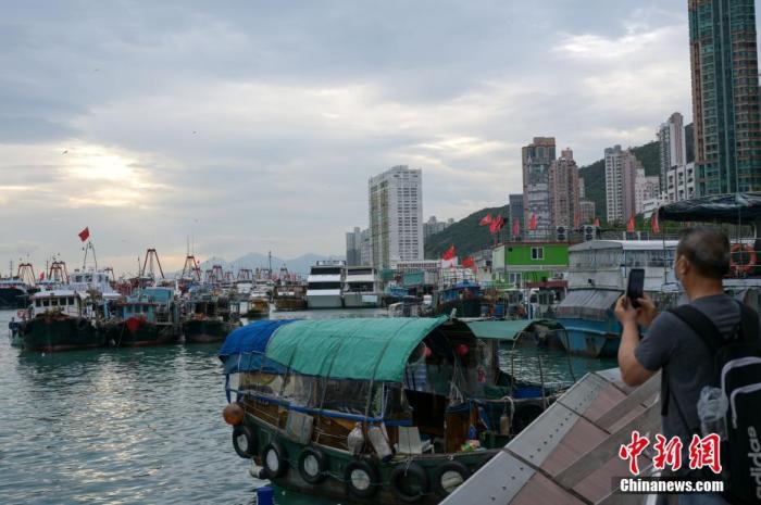 10月12日，强烈热带风暴“圆规”逐渐靠近香港，香港天文台于当天下午发出八号东北烈风或暴风信号。图为市民拍摄停泊在香港仔避风塘避风的渔船。 中新社记者 陈永诺 摄
