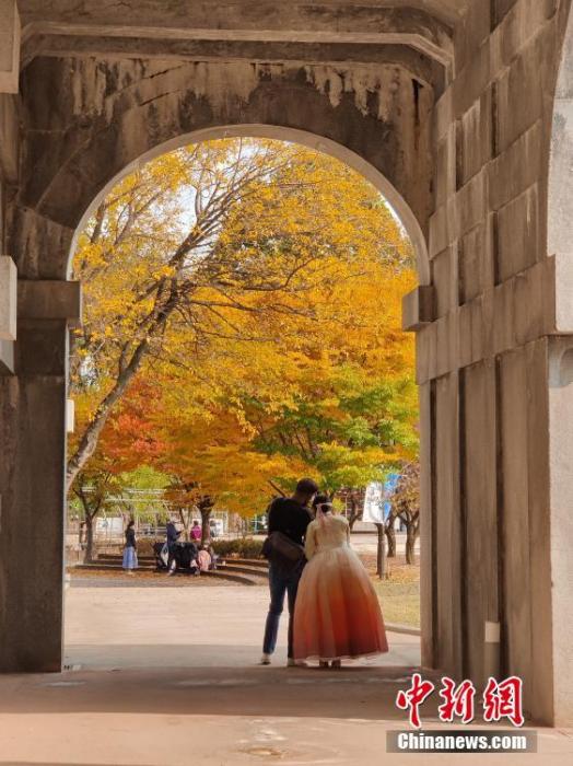 资料图：当地时间10月31日，身着韩服的市民在韩国首都首尔的国立民俗博物馆内欣赏秋景。 中新社记者 刘旭 摄  