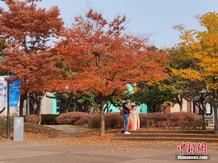 10月31日，身着韩服的市民在韩国首都首尔的国立民俗博物馆内欣赏秋景。 中新社记者 刘旭 摄  