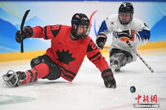 北京冬残奥会残奥冰球半决赛，加拿大队安托万·勒乌(红)在比赛中带球。 中新社记者 刘冉阳 摄