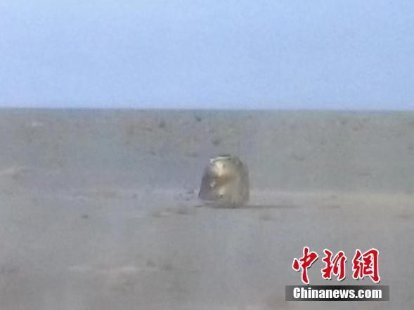 4月16日，神舟十三号载人飞船返回舱在东风着陆场预定区域成功着陆。图为在北京航天飞行控制中心拍摄的屏幕画面。 中新社记者 谢雁冰 摄