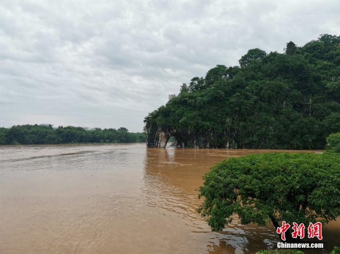 图为位于漓江边的桂林城徽象鼻山泡在洪水中，象鼻山景区当天已封园。 欧惠兰 摄