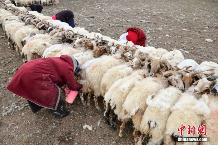 中国海拔最高县搬迁记：既有不舍更有期待