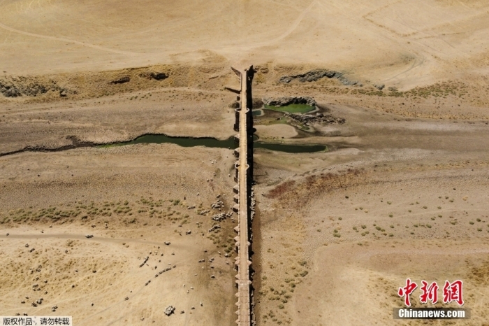 西班牙比利亚尔塔德洛斯蒙蒂斯，当地水库严重干旱，绵羊沿着瓜迪亚纳河干涸的河床吃草，放眼望去，恍惚以为这里是一片沙漠。