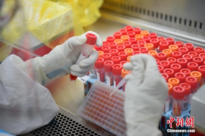 资料图：气膜方舱内的工作人员正在开展工作。 张浪 摄