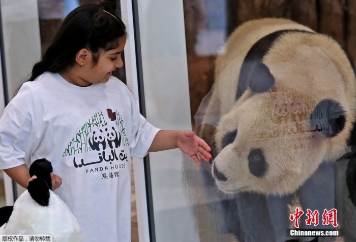 当地时间10月19日，卡塔尔首都多哈的豪尔大熊猫馆内，一名儿童隔着玻璃与大熊猫互动玩耍。大熊猫“四海”“京京”于19日抵达卡塔尔，这是大熊猫首次旅居中东地区。据了解，2020年5月，中卡双方签订大熊猫保护研究合作协议，以进一步促进大熊猫保护研究国际合作，推动中卡两国濒危物种和生物多样性保护。