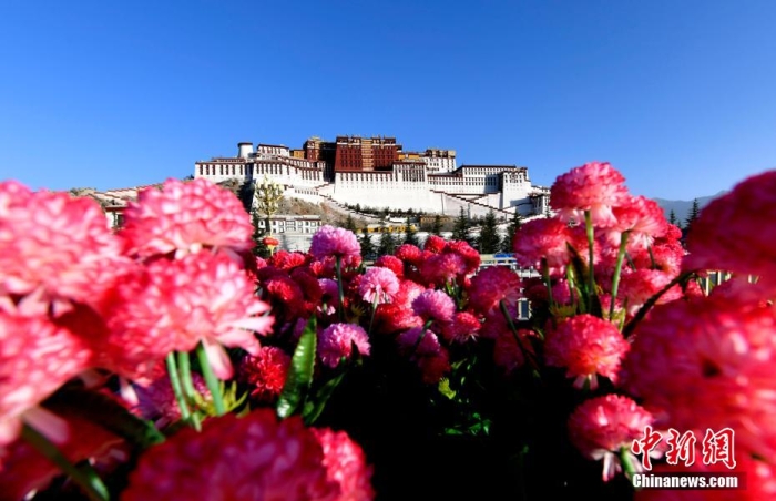 图为晨曦中的西藏布达拉宫。 李林 摄