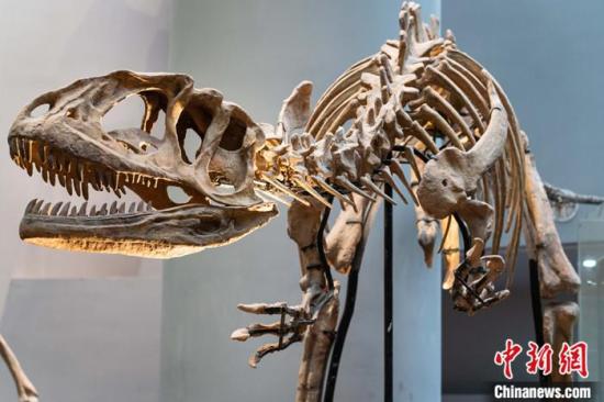Scientists make breakthrough in dinosaur evolution research