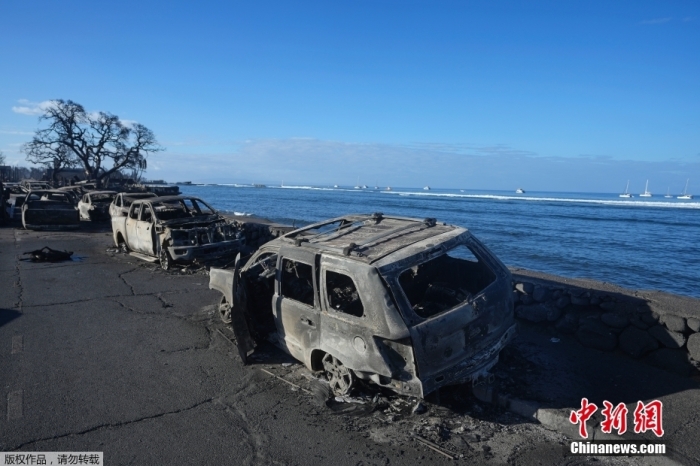 当地时间8月11日，夏威夷毛伊岛野火过后，被烧毁的汽车排列在海堤上。